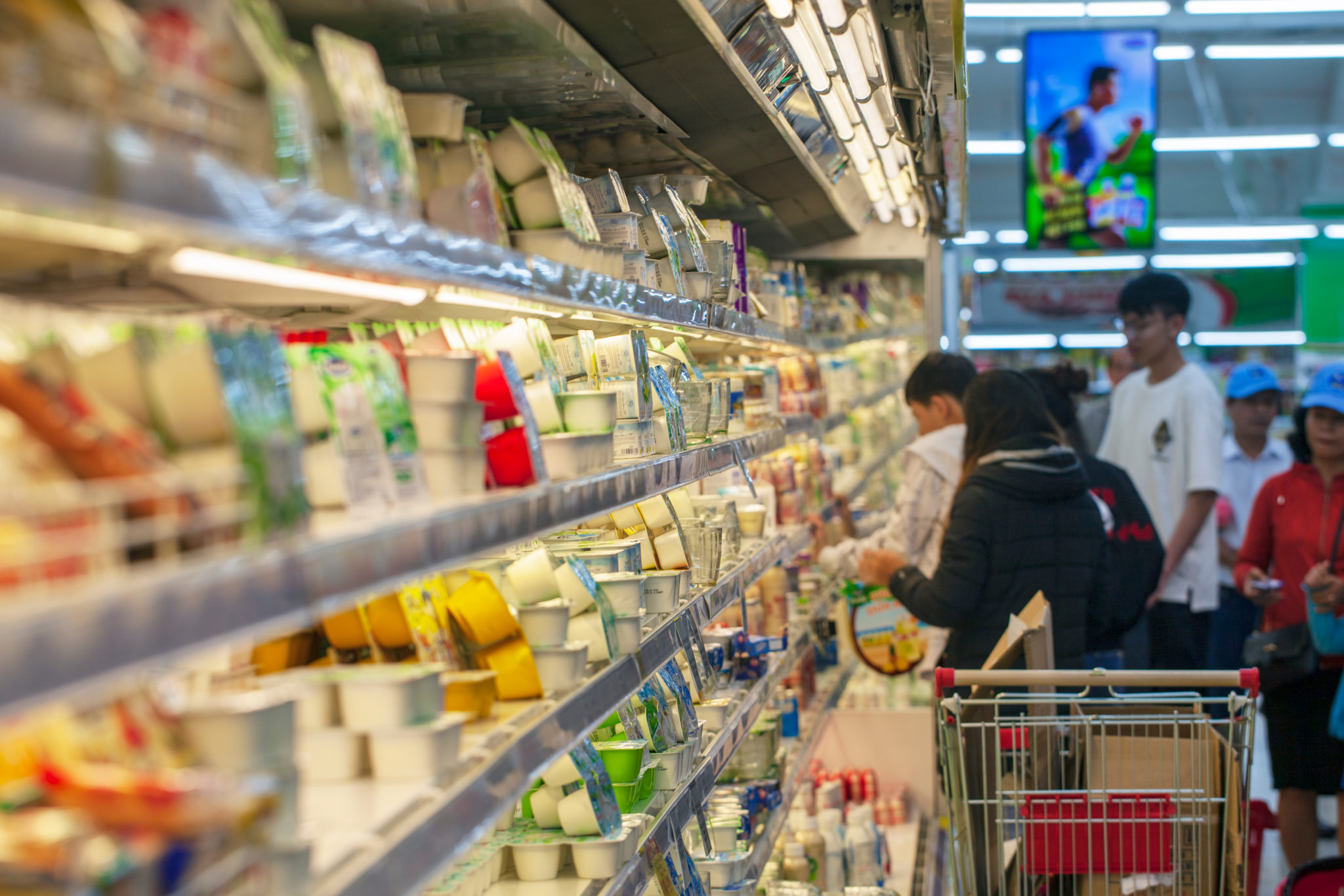 Z-01-Food Product Development InfoSite Draft 5 – Optimal Answers